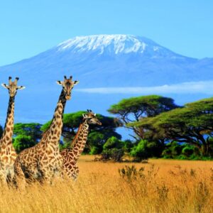 7 Days Machame Route, Mount Kilimanjaro