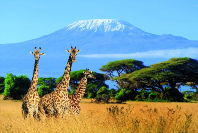 7 Days Machame Route, Mount Kilimanjaro