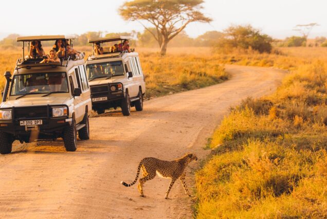 3 Days 2 Nights Safari