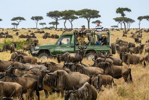5 DAYS TANZANIA LUXURY SAFARI.