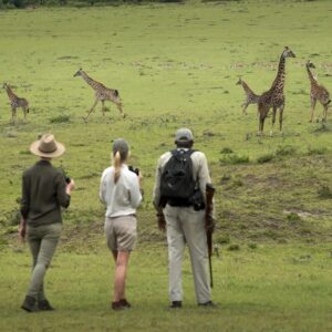 4 Days Tarangire and Ngorongoro.