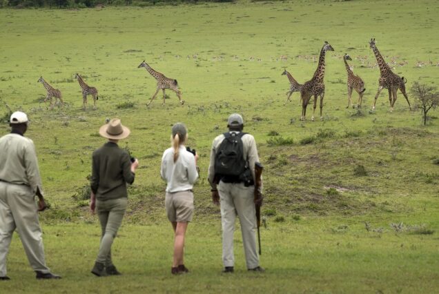4 Days Tarangire and Ngorongoro.