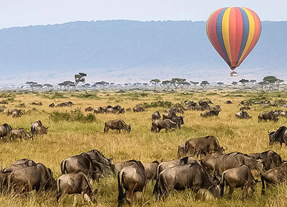 Air Balloon Adventure