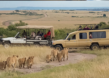 High Quarty Safar Vehicle