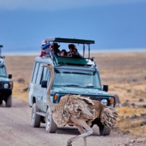 5 DAYS SAFARI TOUR.
