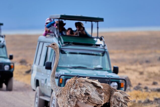 5 DAYS SAFARI TOUR.